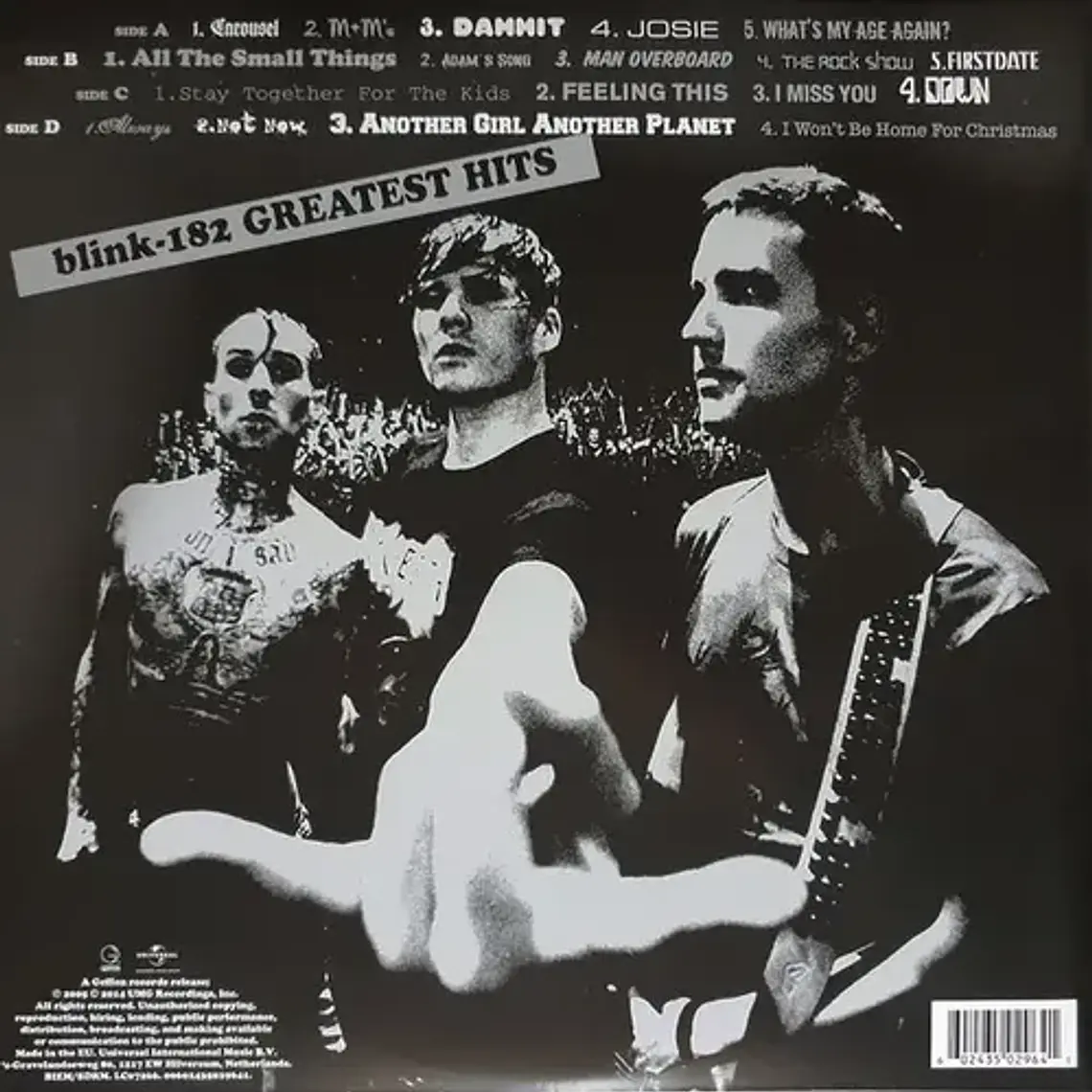 Blink 182 - Greatest Hits - 2 Lp Acetato Vinyl 2