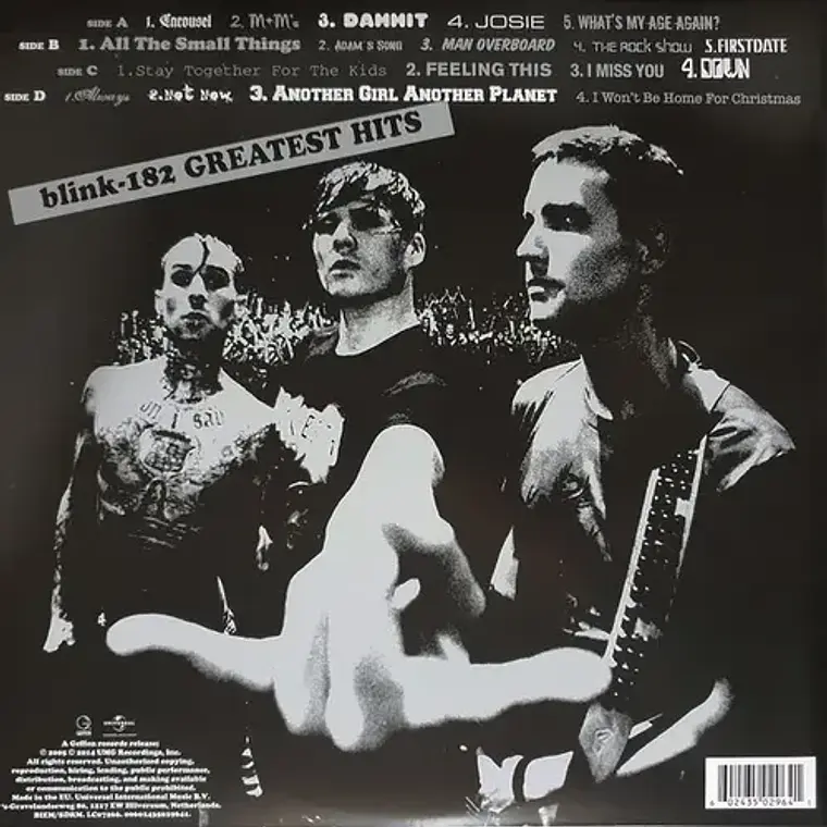 Blink 182 - Greatest Hits - 2 Lp Acetato Vinyl 2