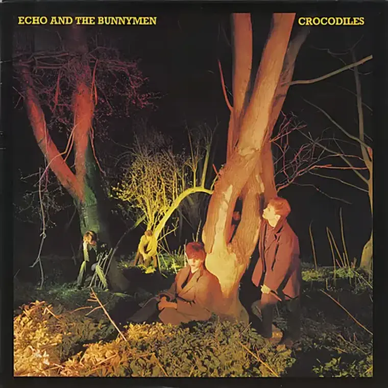 Vinilo Echo And The Bunnymen Crocodiles Álbum Físico 1