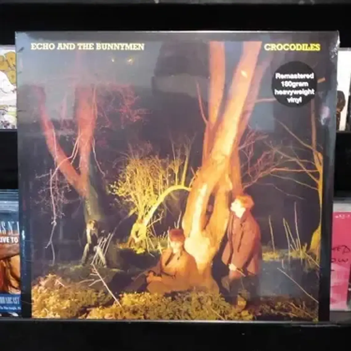 Vinilo Echo And The Bunnymen Crocodiles Álbum Físico 2