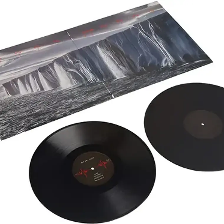 Pearl Jam Gigaton Vinilo Doble Rock 2020 Europa 3