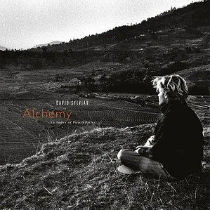 Vinilo Rock David Sylvian Alchemy: An Index Of Possibilities 2019
