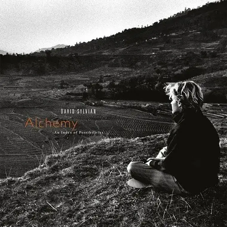 Vinilo Rock David Sylvian Alchemy: An Index Of Possibilities 2019 1