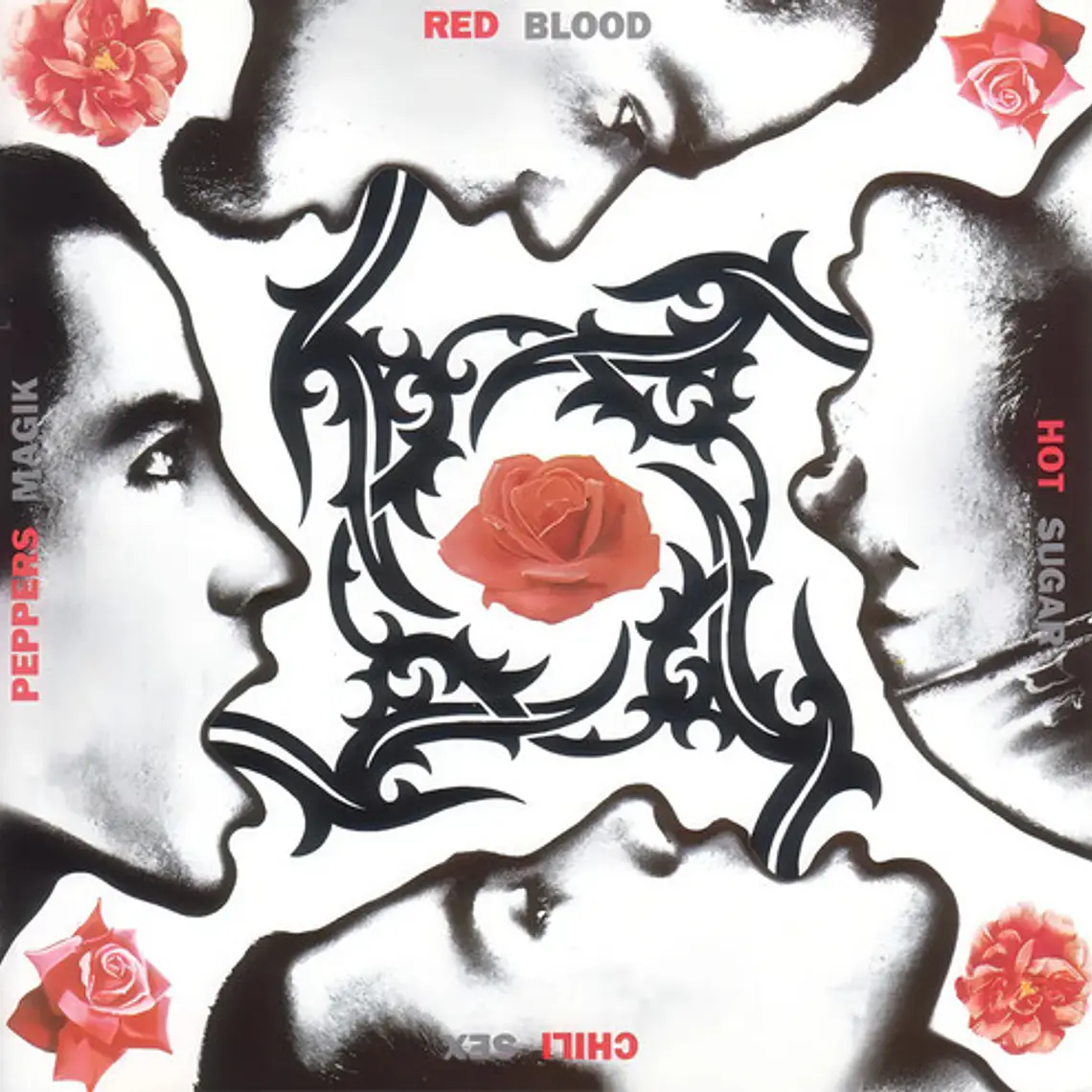 Vinilo Red Hot Chili Peppers Blood Sugar Sex Magik Rock Warner 2012 2