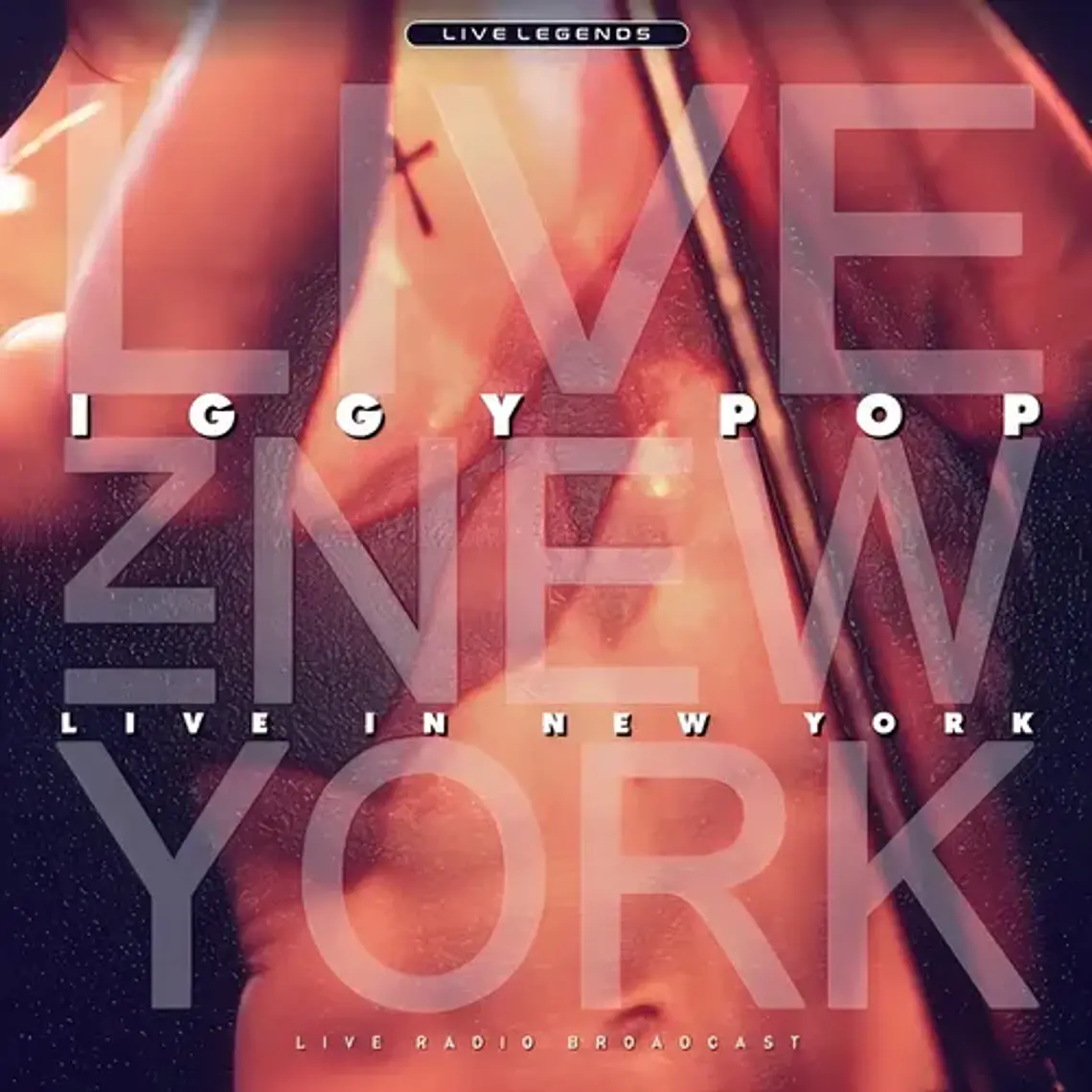 Iggy Pop - Live In New York Lp 1