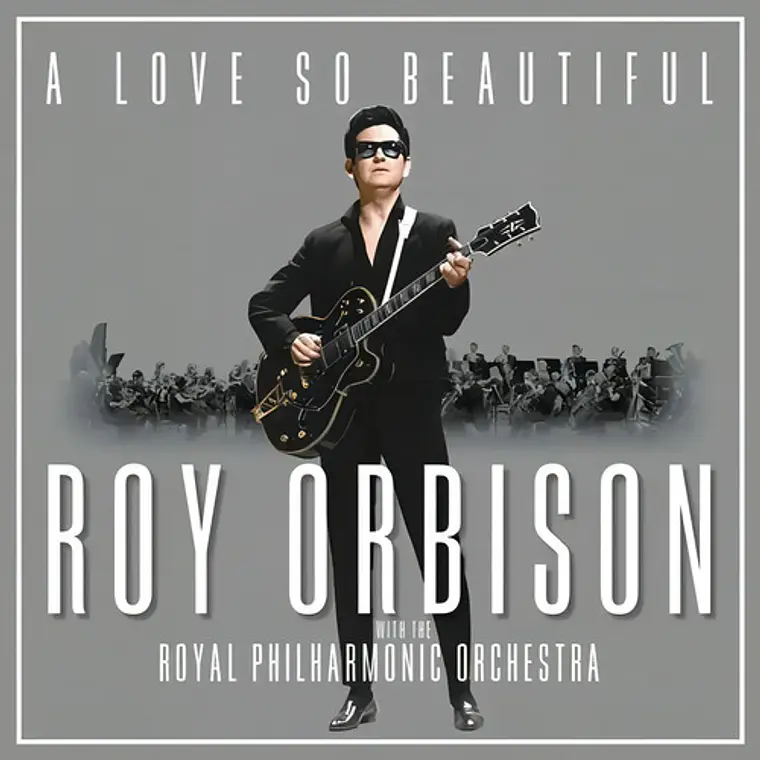 Vinilo De Roy Orbison: A Love So Beautiful 1