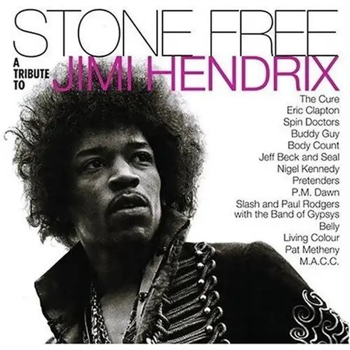 Vinilo Doble De Varios Artistas: Stone Free (tributo A Jimi Hendrix) 1