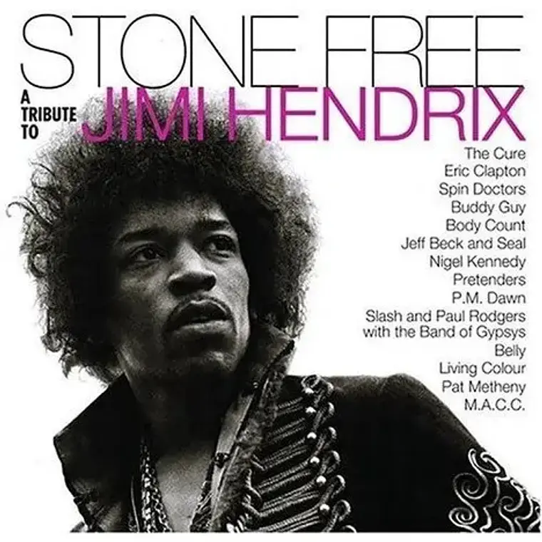 Vinilo Doble De Varios Artistas: Stone Free (tributo A Jimi Hendrix) 1