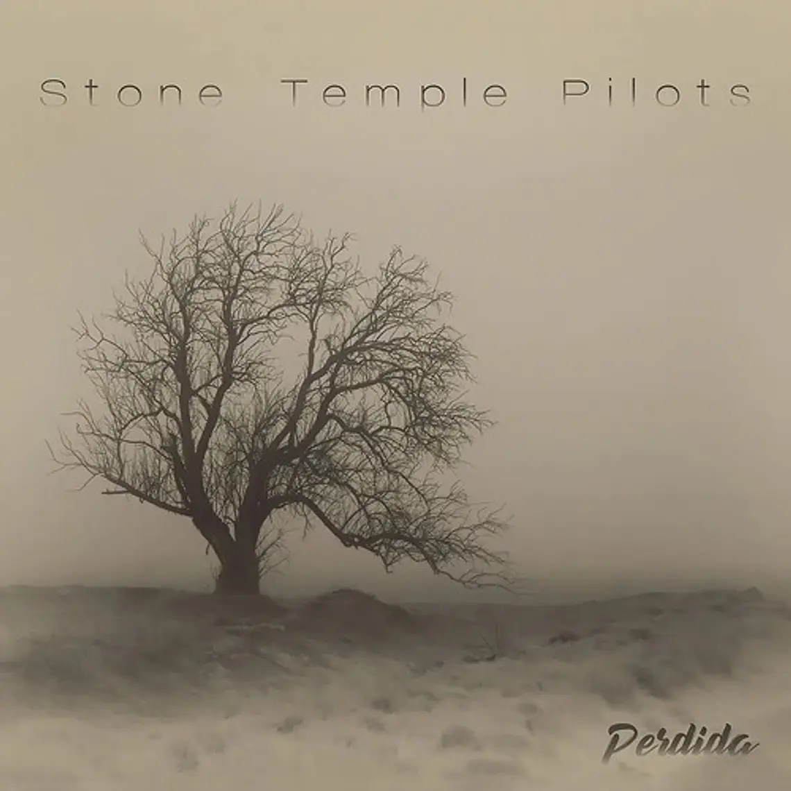 Vinilo Perdida Stone Temple Pilots Rock 2020 10 Canciones 1