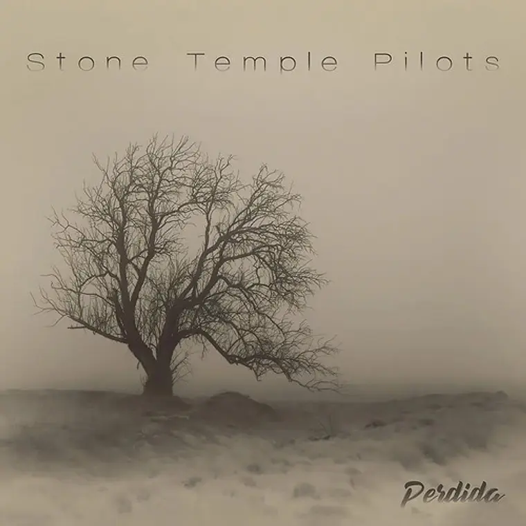 Vinilo Perdida Stone Temple Pilots Rock 2020 10 Canciones 1