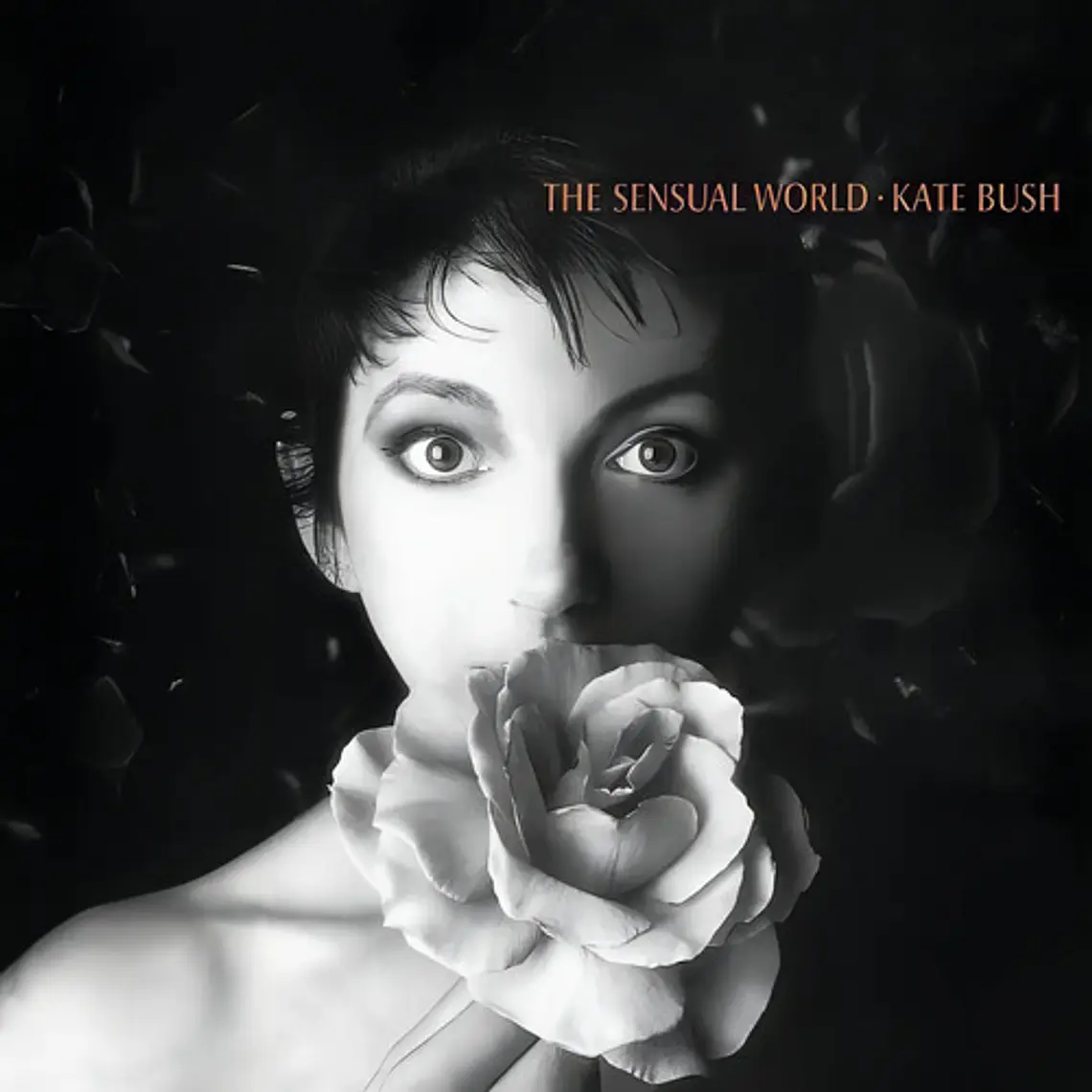 Vinilo Kate Bush The Sensual World Rock 2018 Formato Físico 1