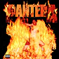Pantera Reinventing The Steel Vinilo Nuevo Musicovinyl - Miniatura 1