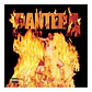 Pantera Reinventing The Steel Vinilo Nuevo Musicovinyl - Miniatura 2