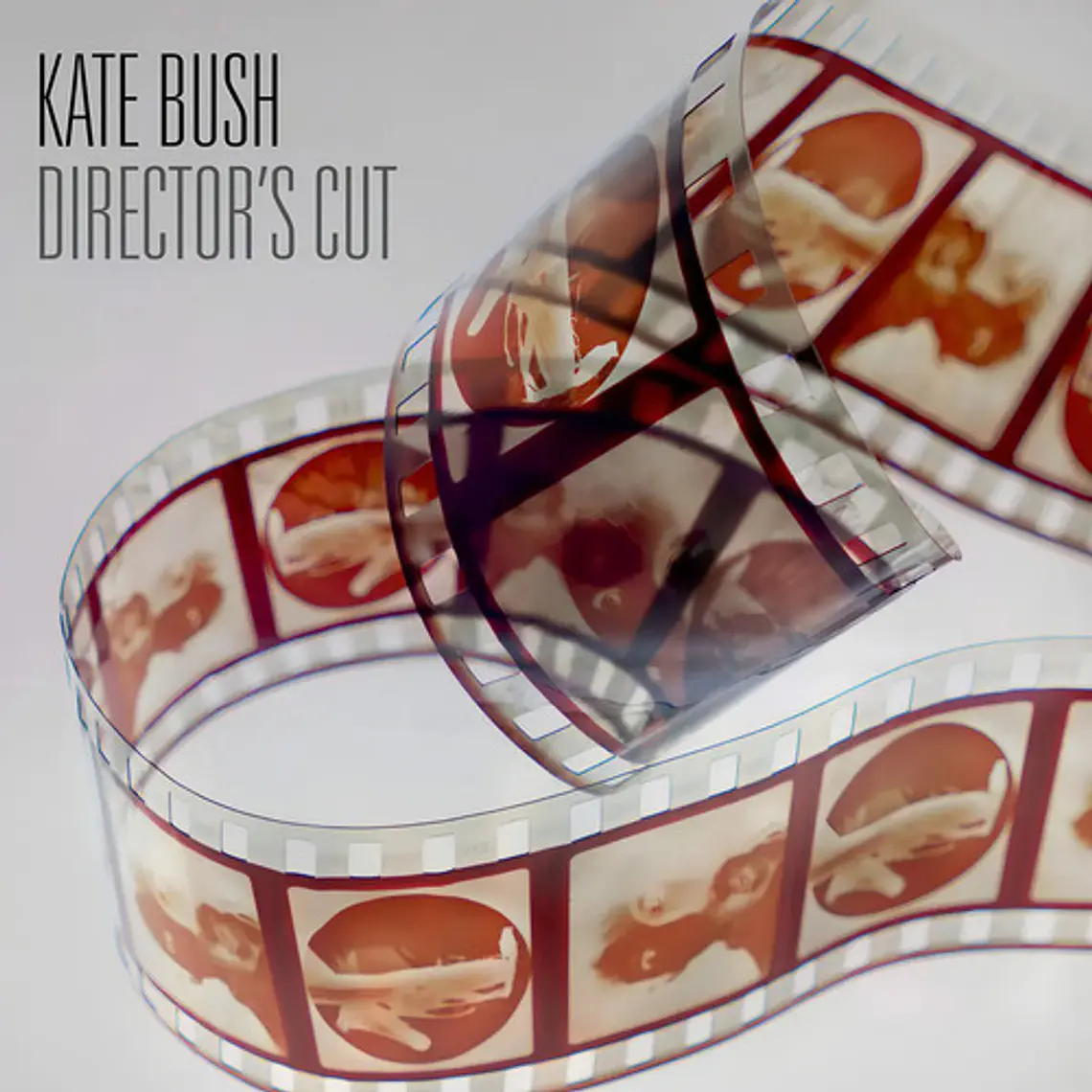 Kate Bush: Director's Cut (2018 Remaster) En Vinilo Doble 1