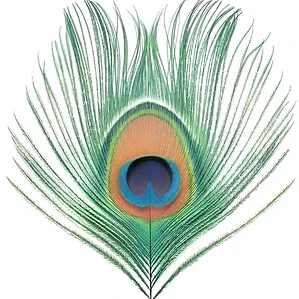 Vinilo Apple Venus Volume 1 De Xtc