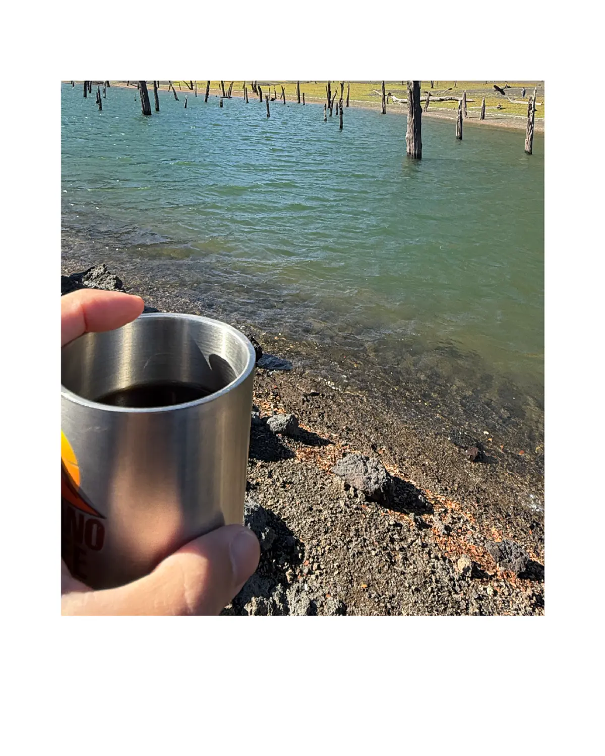 Volcano Coffee | Café de Especialidad