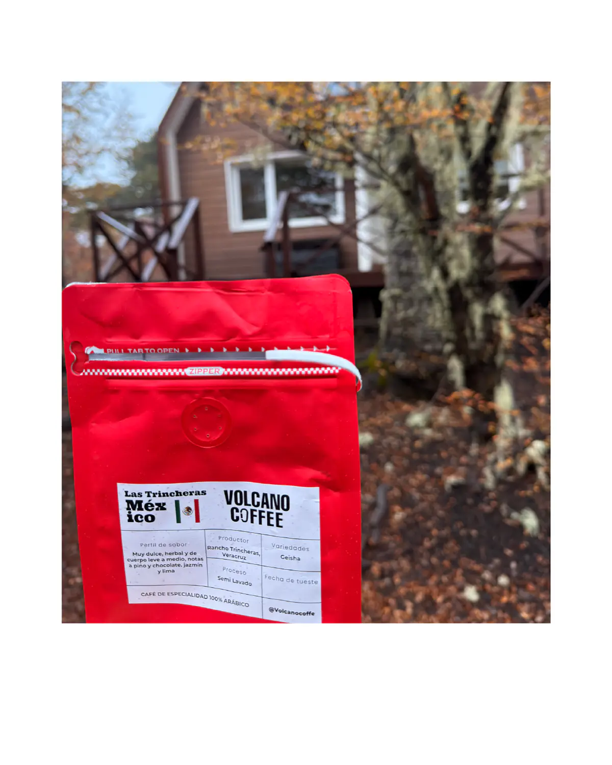 Volcano Coffee | Café de Especialidad