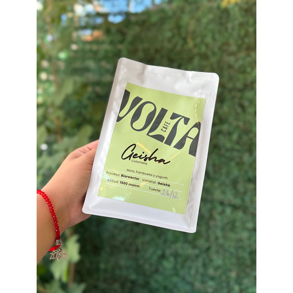 Geisha Culturing — 180g