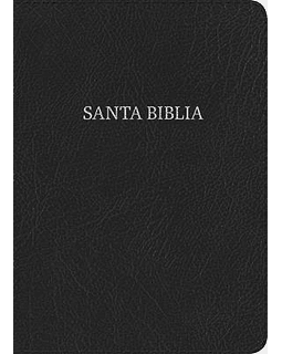 BIBLIA NVI LETRA GRANDE TAMAÑO MANUAL CON ÍNDICE