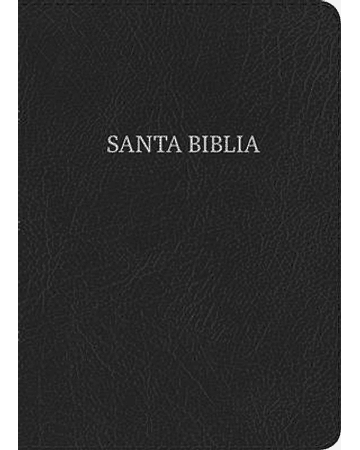 BIBLIA NVI LETRA GRANDE TAMAÑO MANUAL CON ÍNDICE
