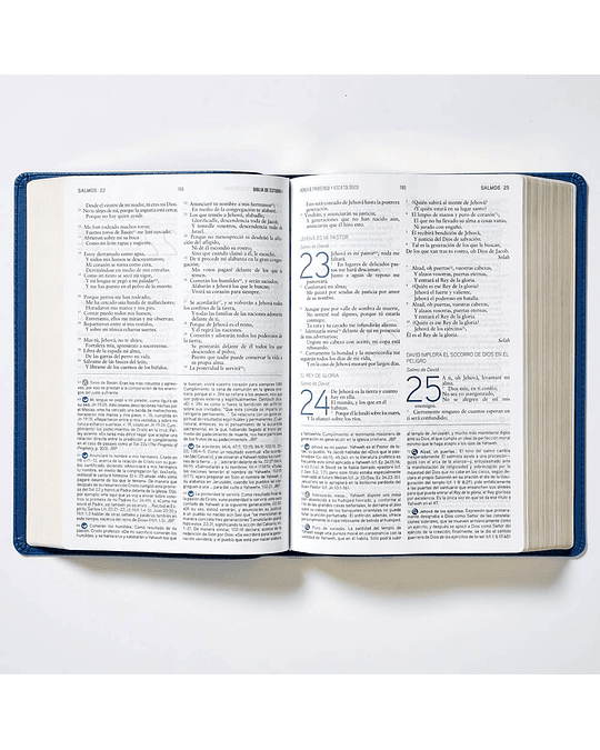 BIBLIA DE ESTUDIO MENSAJE PROFETICO Y ESCATOLOGICO