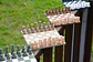 Ajedrez compacto y enrollable: Lleva el juego contigo - Miniatura 7