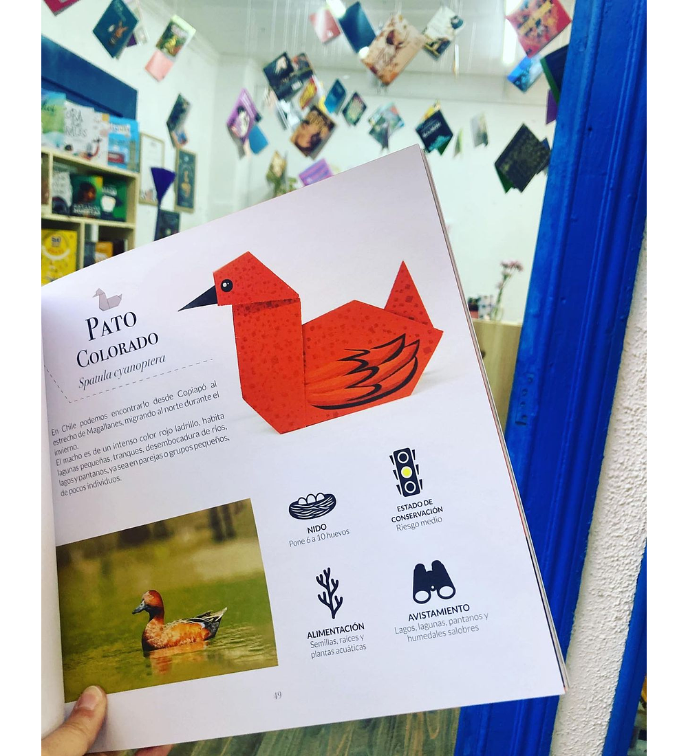 Libro Aves de Papel: origami de pájaros de Chile