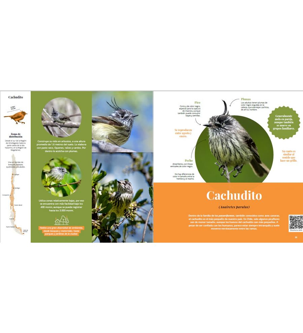 Libro Guía Aves de Chile