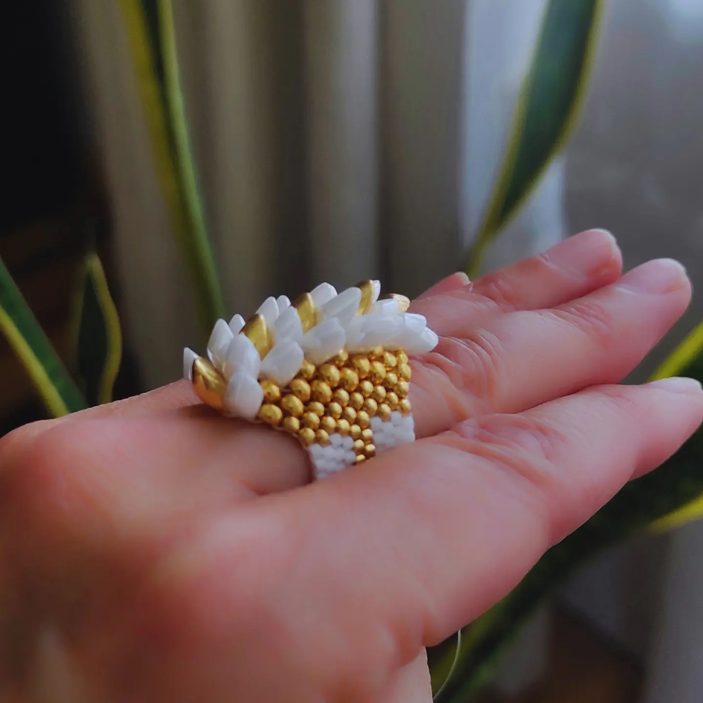 Anillo Dragón 2