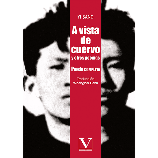 A Vista de Cuervo y Otros Poemas 