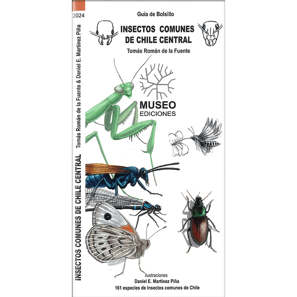 Guía de Bolsillo Insectos Comunes de Chile Central 