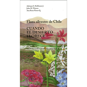 Flora Silvestre de Chile: Cuando el Desierto Florece