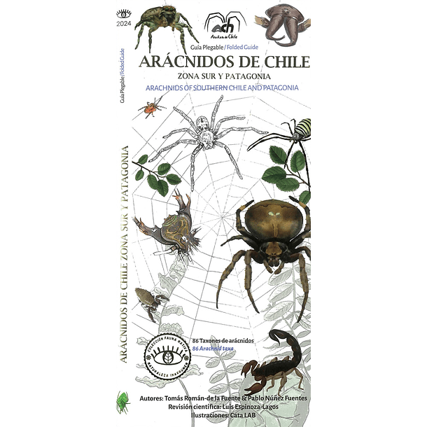 Guía de Bolsillo Arácnidos de Chile Zona Sur y Patagonia 