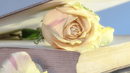 Lecturas recomendadas en el Día de la Poesía