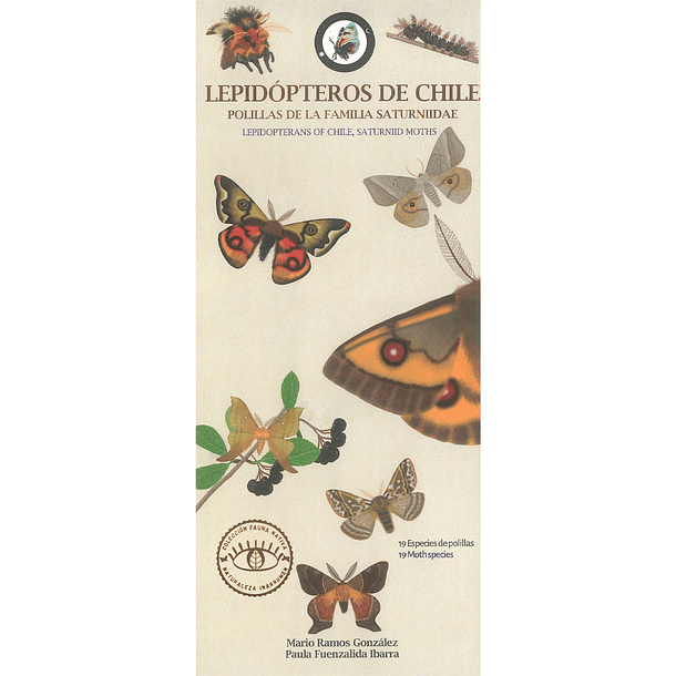 Lepidópteros de Chile. Polillas de la Familia Saturniidae 