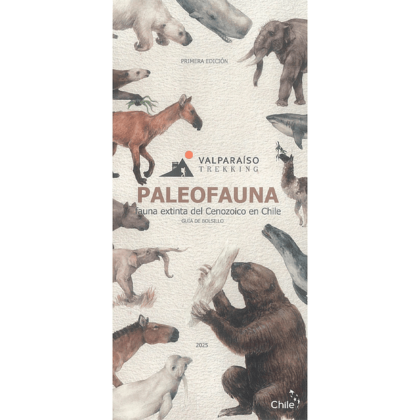 Paleofauna. Fauna extinta del Cenozoico en Chile 