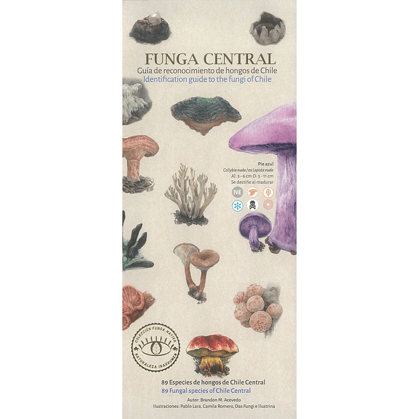 Funga Central. Guía de reconocimiento de hongos de Chile 