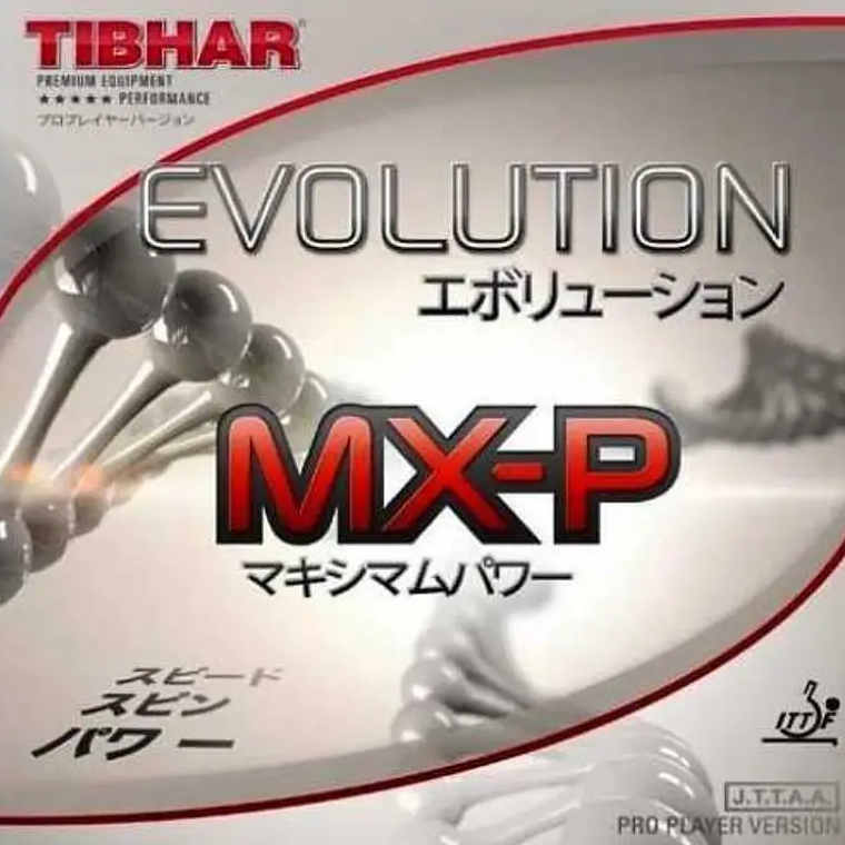 Goma Tibhar Evolution MX-P 1