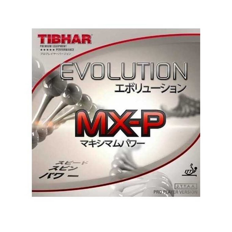 Goma Tibhar Evolution MX-P 2