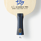 Fan Zhendong ALC - Miniatura 3