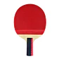 Bty 303 CS - Miniatura 2