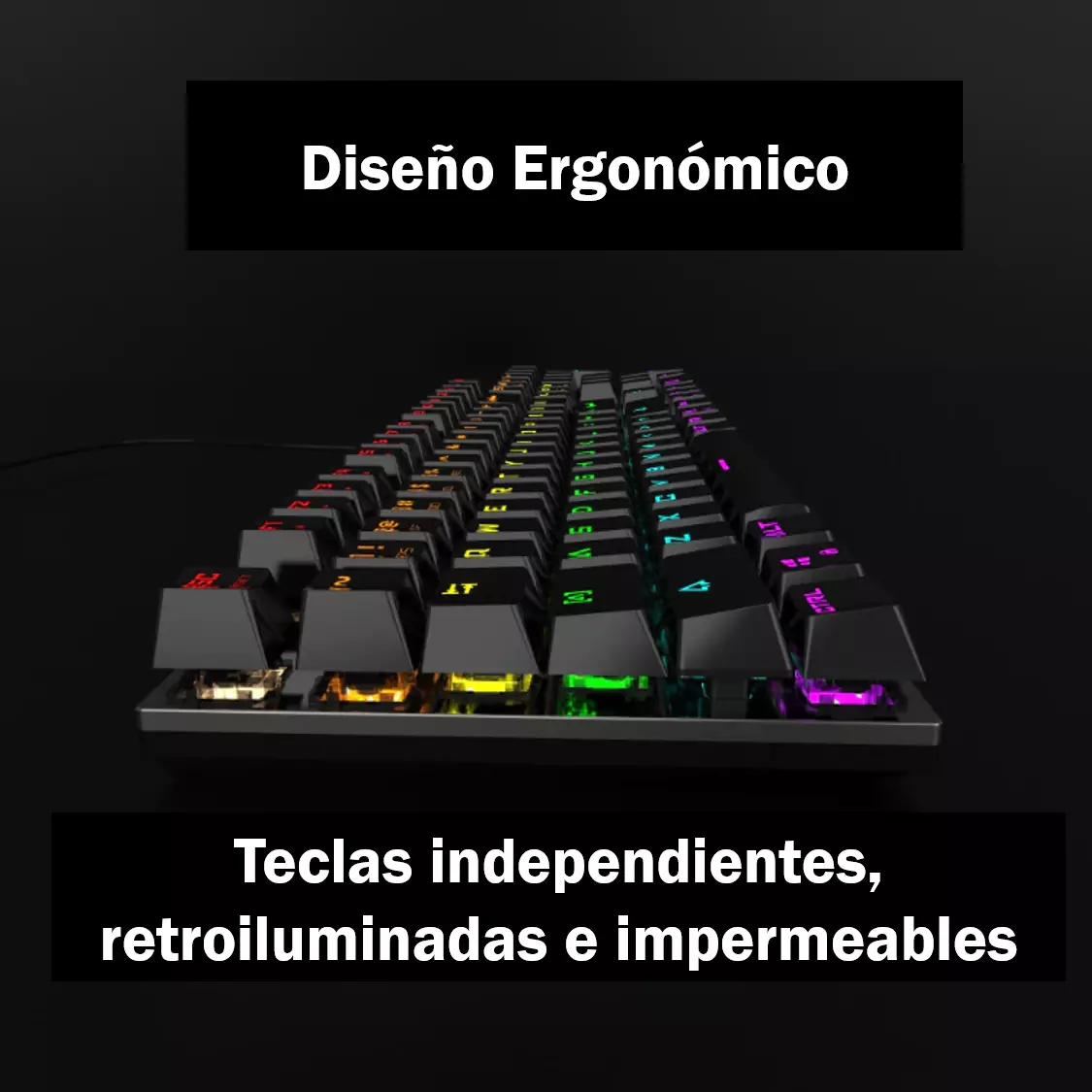 Cambios de demandante Hundimiento Teclado mecanico Pro Gaming Español retroiluminado imperm...