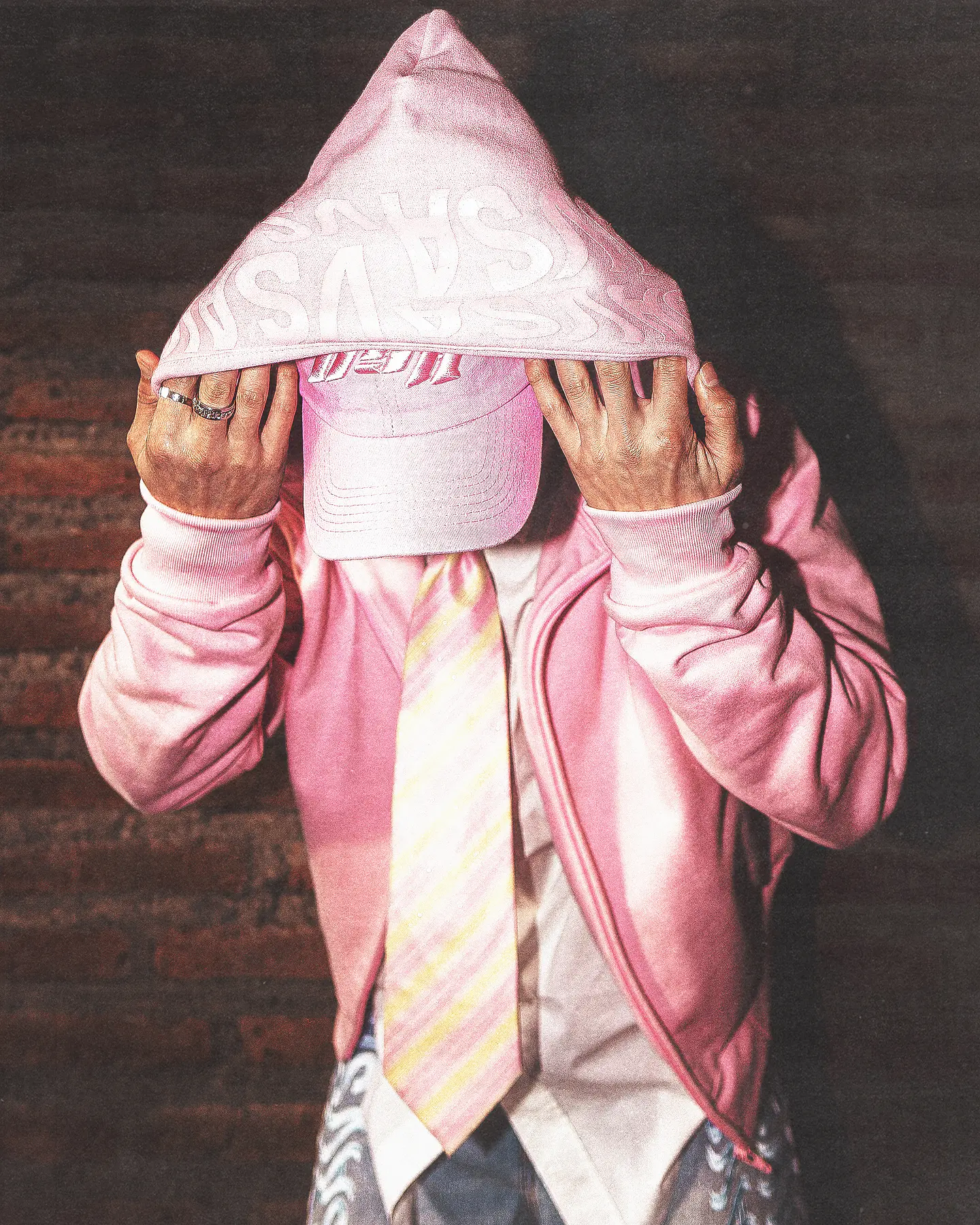 Poleron VSA Turtlhoodie Strawberry 4