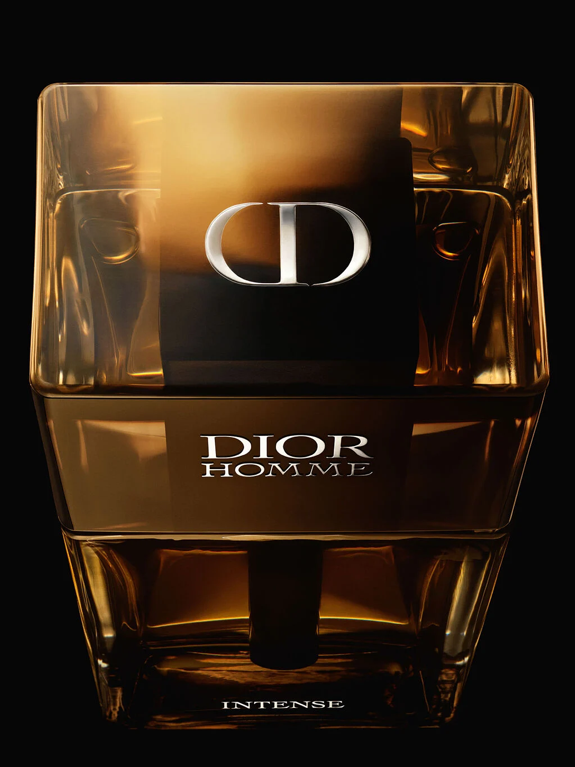 Dior Homme Intense Eau de Parfum 100ml 2