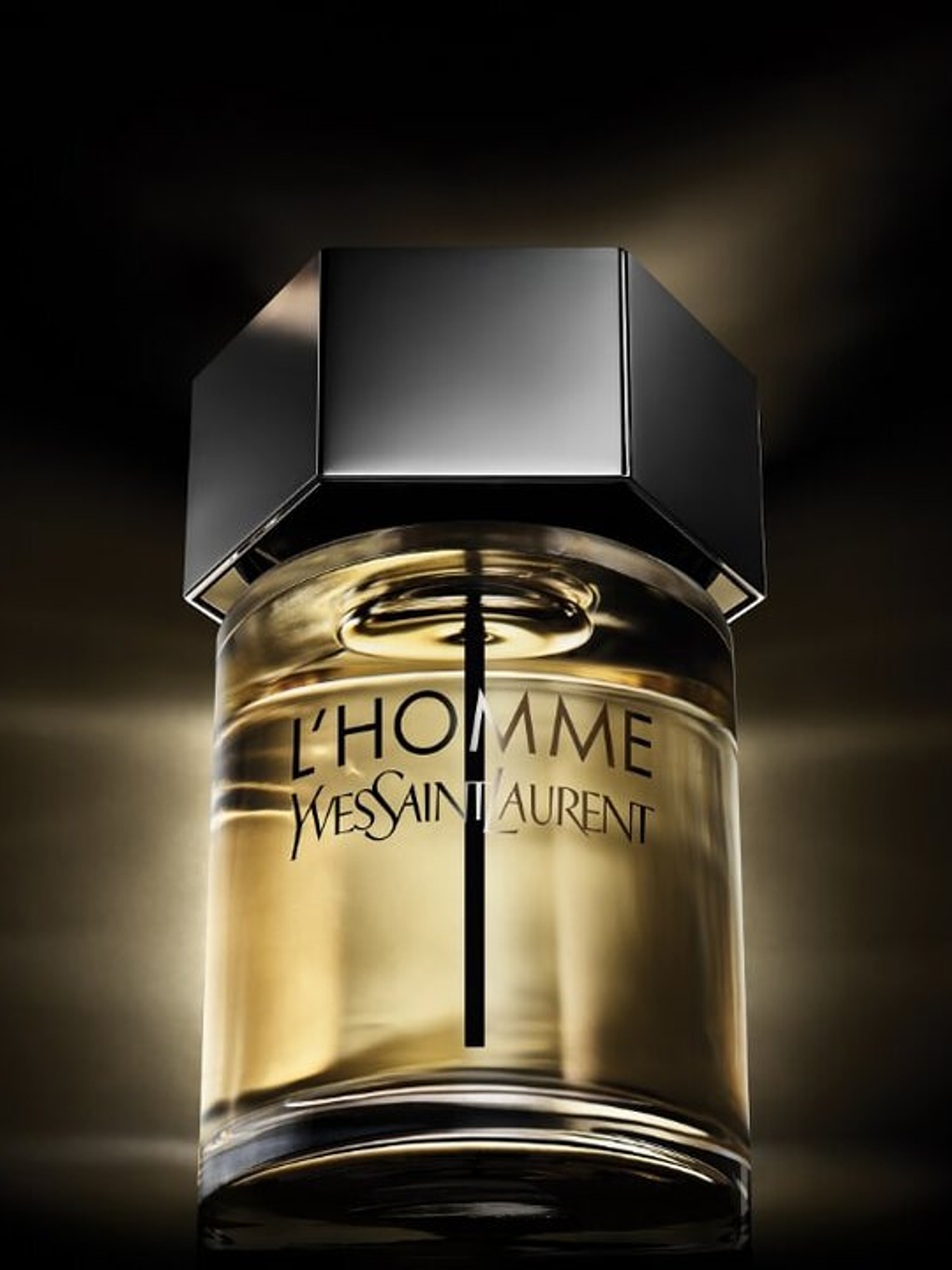 Yves Saint Laurent L'HOMME Eau de Toilette 100 ml (H) 1