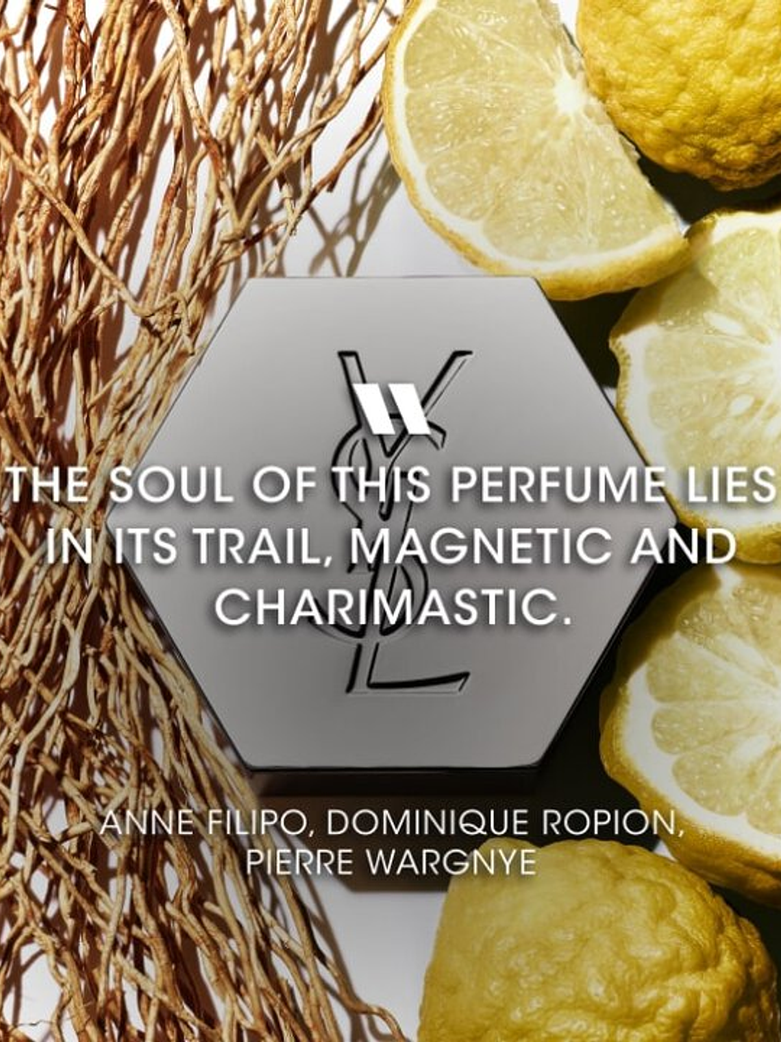 Yves Saint Laurent L'HOMME Eau de Toilette 100 ml (H) 5