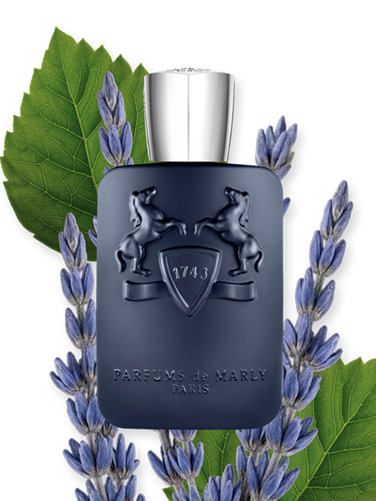 Layton Eau de Parfum 125 ml 2