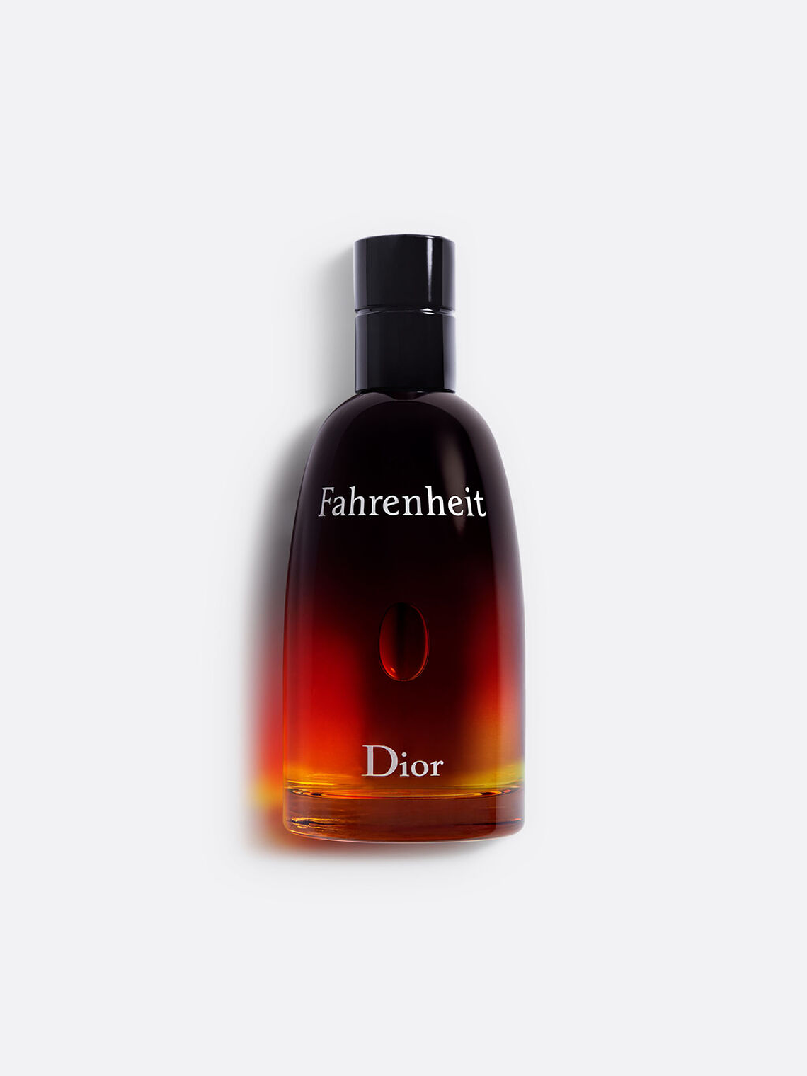 Dior Fahrenheit Eau de Toilette 100 ml 1