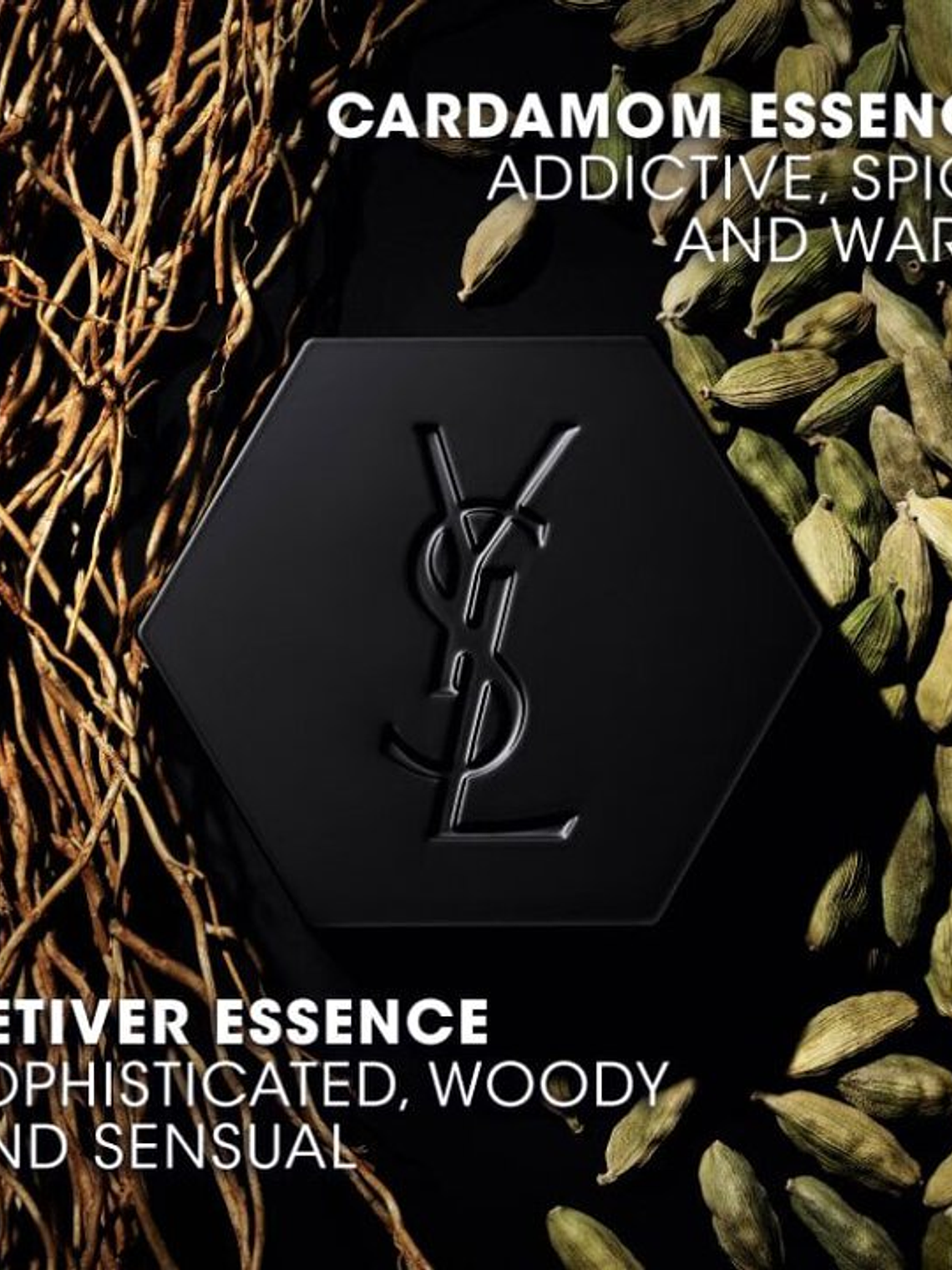 Yves Saint Laurent La Nuit de L'HOMME Eau de Toilette 100 ml (H) 5