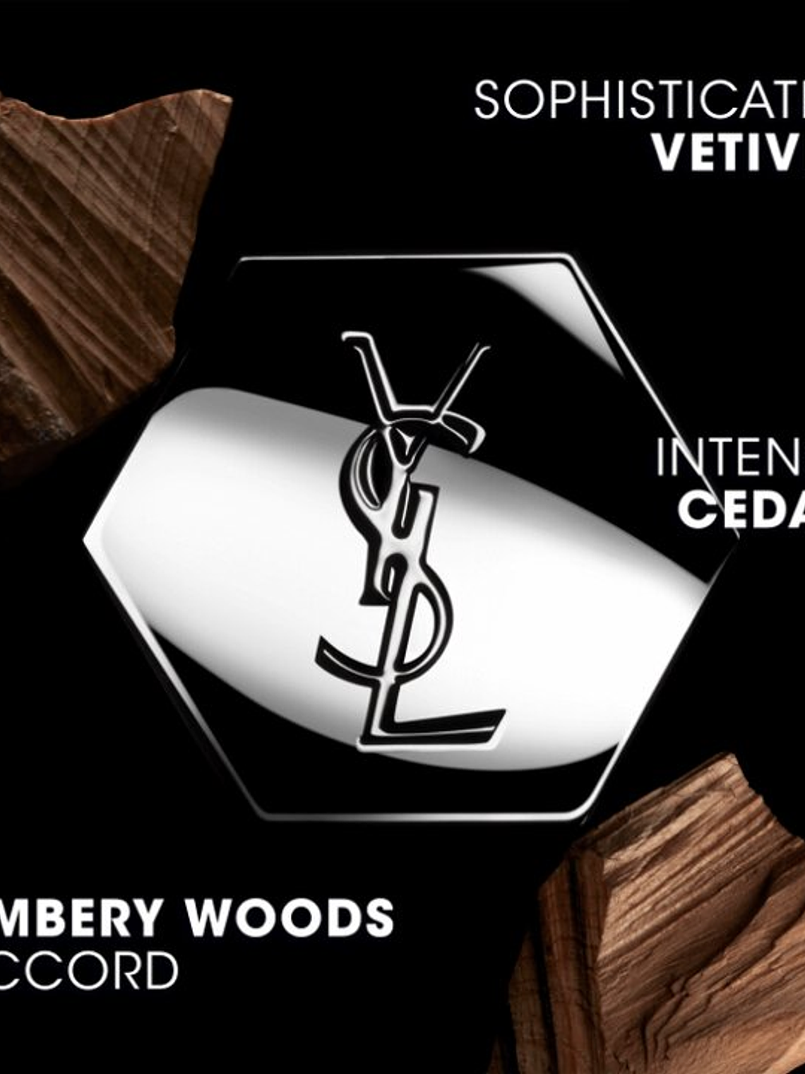 Yves Saint Laurent L'HOMME Le Parfum 100 ml (H) 4